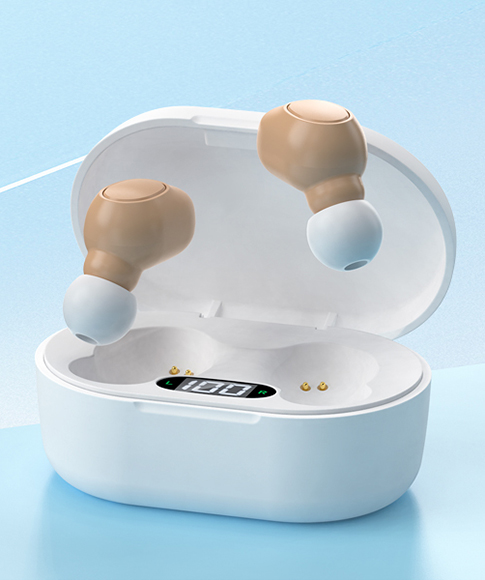 Hearing Aid Accessories 1