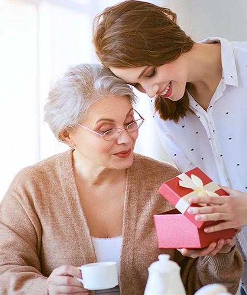 Hearing Aid Accessories 2