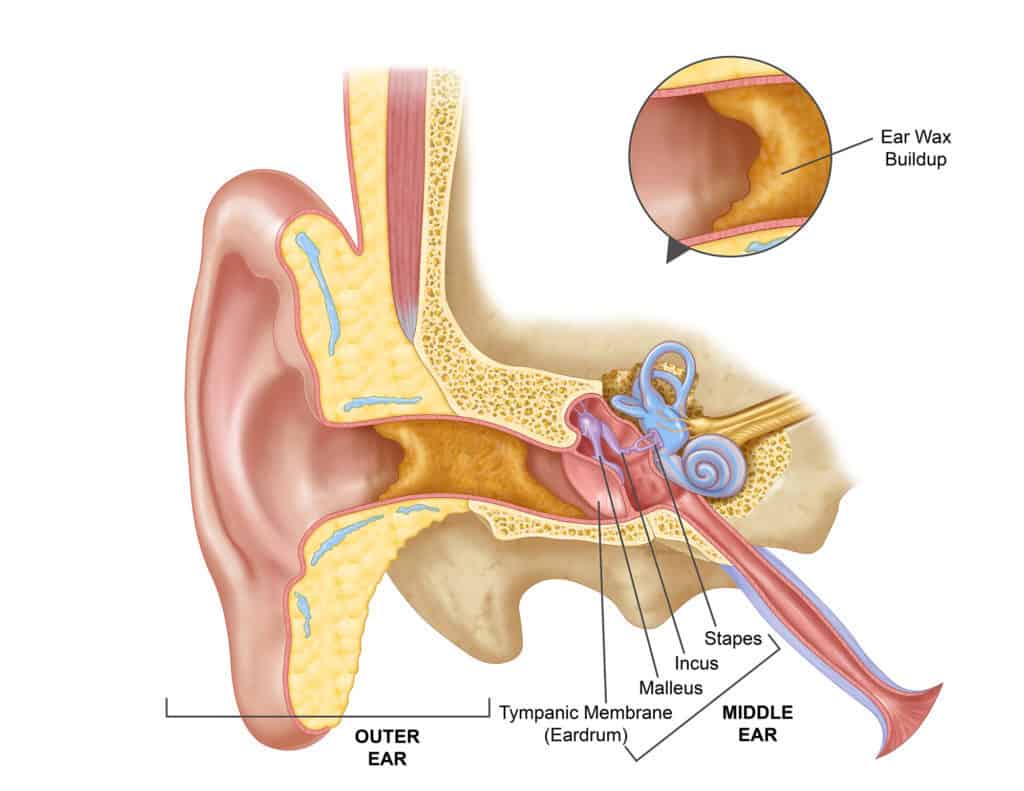 Why Do We Produce Earwax