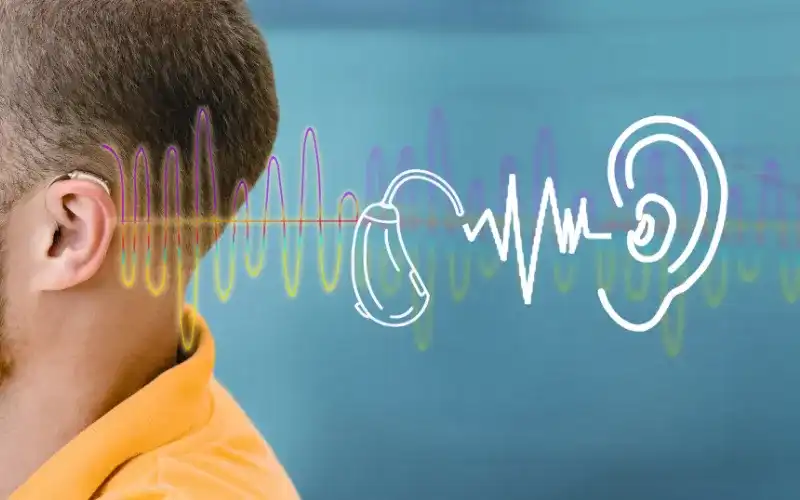 Understanding Hearing Aid Feedback